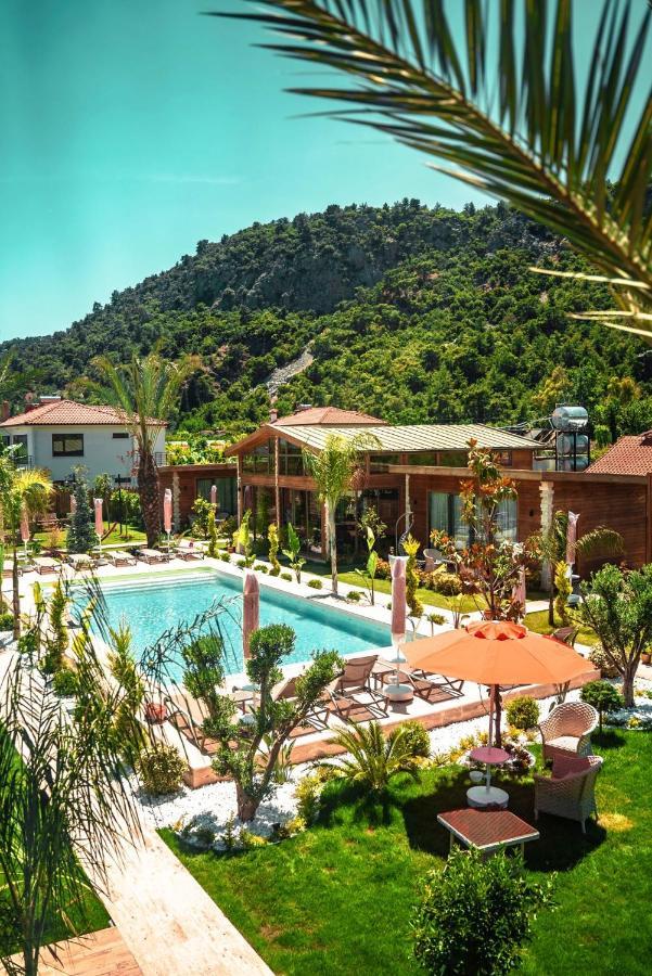 Cirali Hestia Lodge 凯梅尔 外观 照片