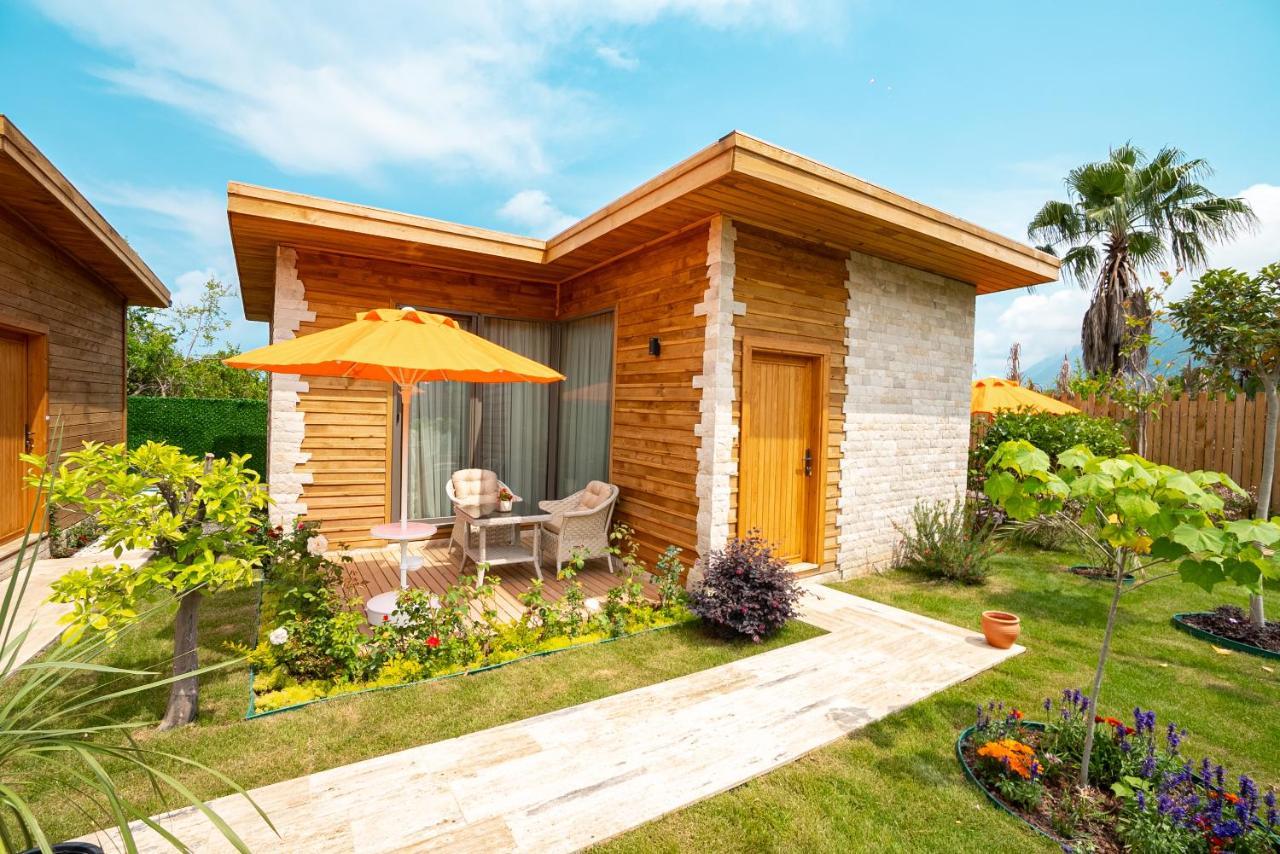 Cirali Hestia Lodge 凯梅尔 外观 照片